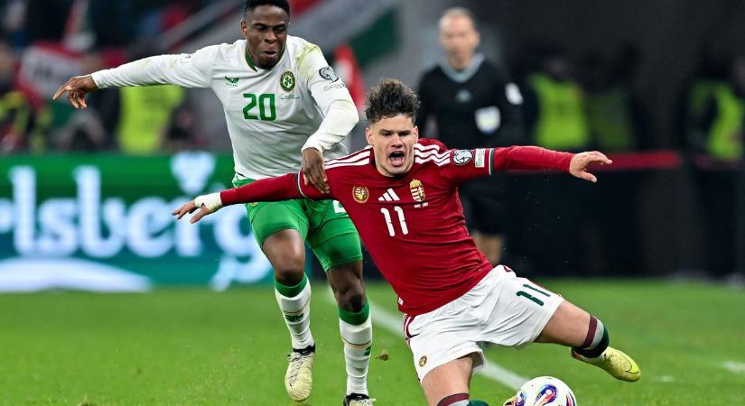 Kerkez kibújhat a fekete bárány bőréből