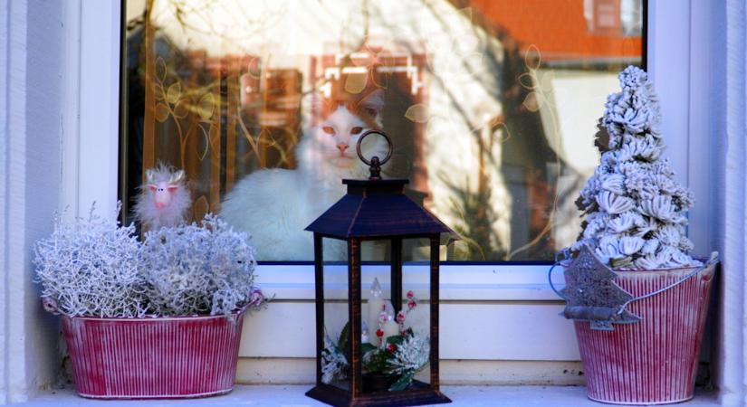 Mit hagyjunk magunk mögött a kertben az óévvel együtt?