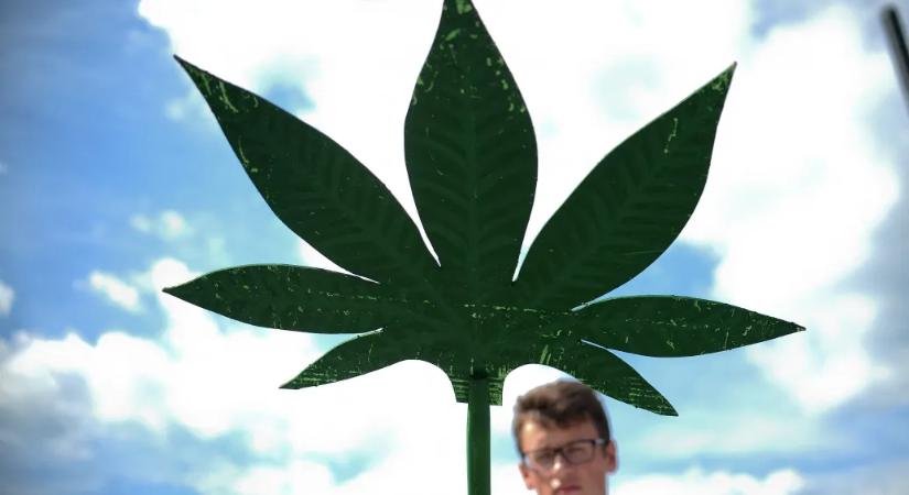 Zöld utat kapott a gyógyászati kannabisz Bosznia-Hercegovinában