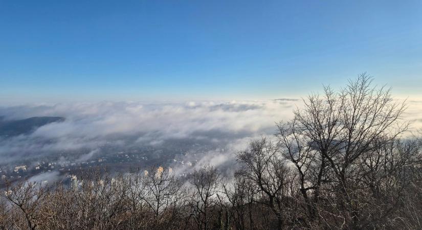 Normafa: Budapest téli menedéke a hegyek fölött