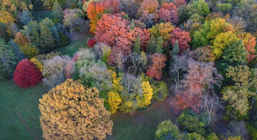 Pepi-kert: téli csodák az ország legnagyobb arborétumában
