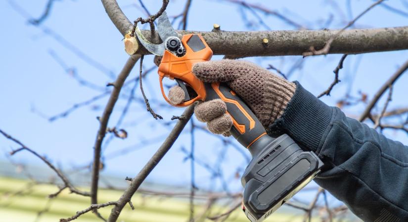 Kerti gépek teleltetése – hogyan védd az akkumulátort?