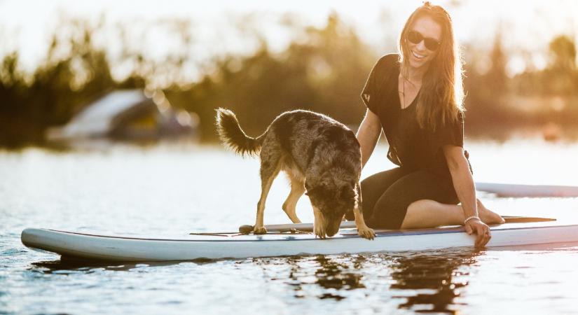 Továbbra sincs döntés a kutyás strand ügyében a népszerű balatoni üdülőhelyen