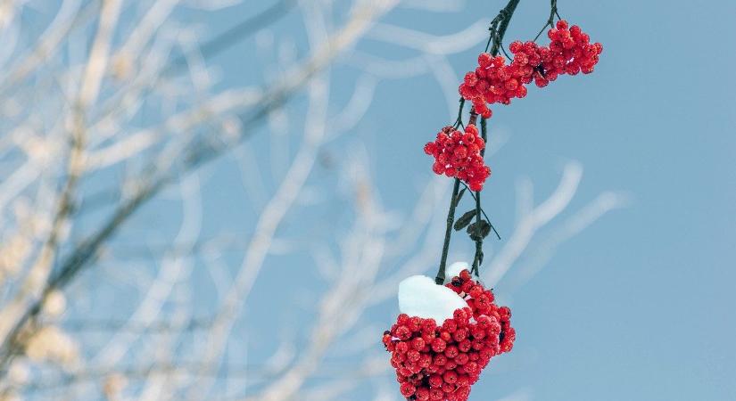 Néhány hópehely kezdi az évbúcsúztatót kedden Győrben