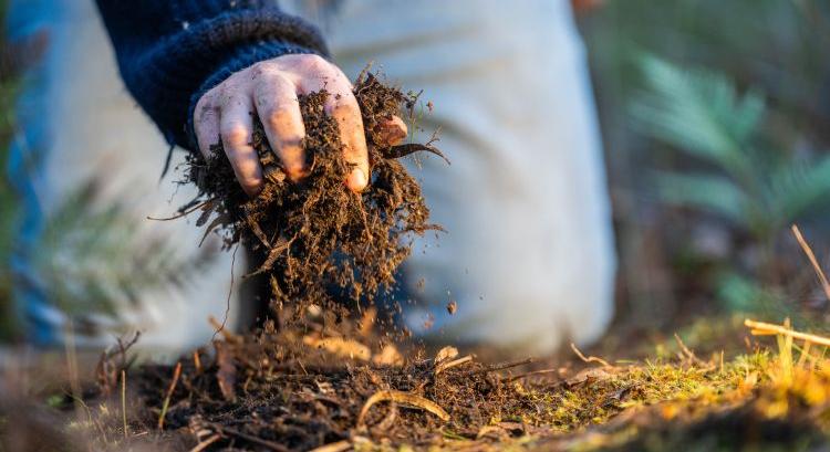 Kevesebb input, több élet, magasabb profit