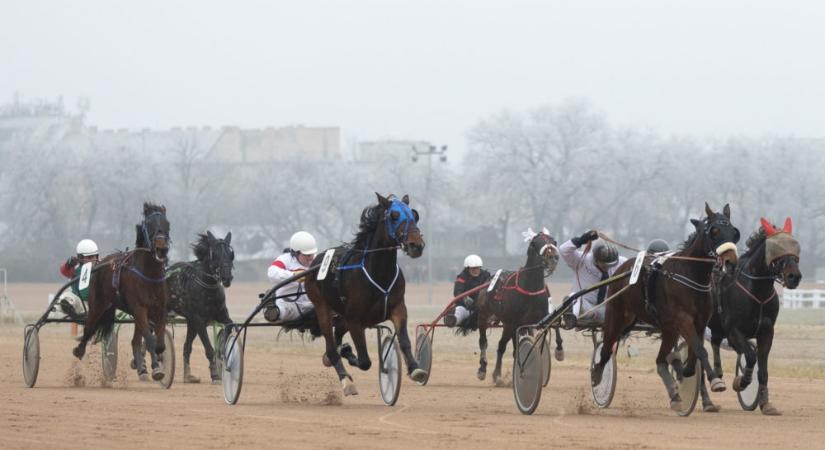 Ismét Ügetőszilveszter a Kincsem Parkban