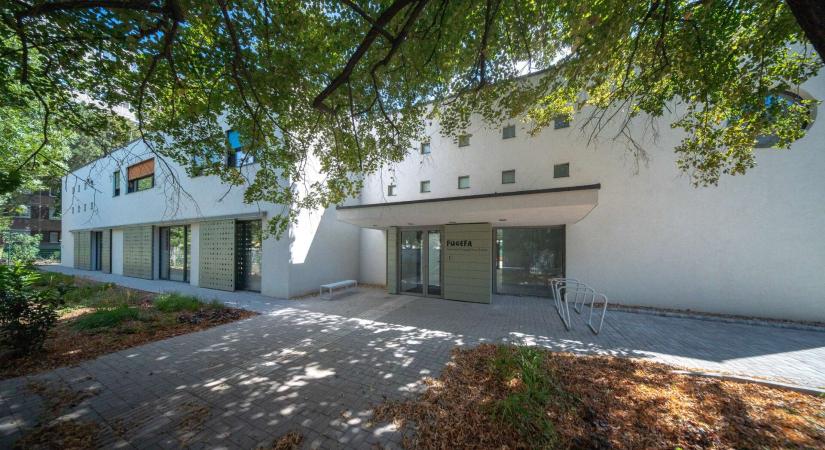 Fügefa Kelenföldi Evangélikus Óvoda