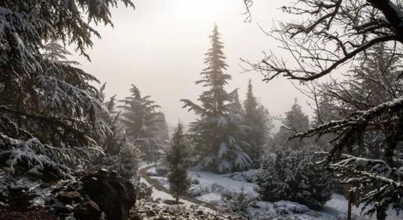 Fényfestés, séta és szabadulószoba várja a látogatókat a Folly Arborétumban