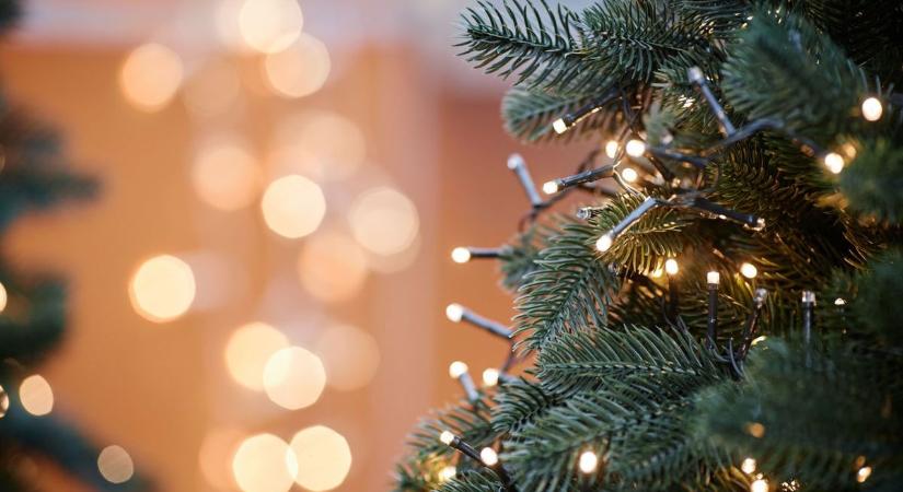 Karácsonyi vacsora közben késelte meg a férjét egy fiatal nő Szombathelyen