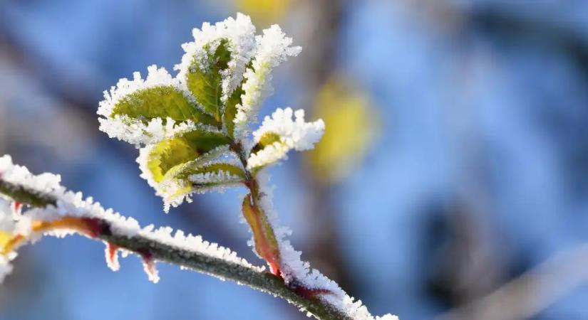 Szeles, hideg idő jön: a hőérzet akár mínusz 7 fok is lehet