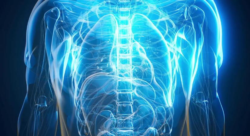 Rejtett veszély fenyegeti a szívet – a férfiak lehetnek nagyobb bajban