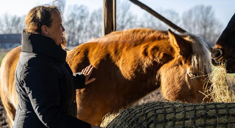 A pusztítás nyomában: élet a dunai árvíz után