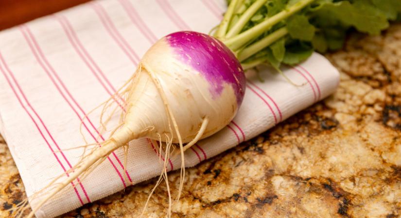 Kerékrépa: régi magyar alapzöldség, amely visszatérhet a modern konyhába