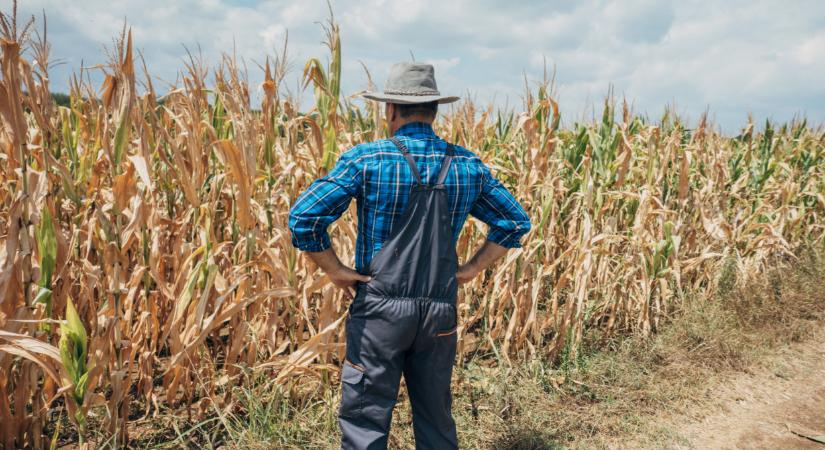Itt a 2025-ös értékelés: komoly híreket közölt a magyar agrárminiszter