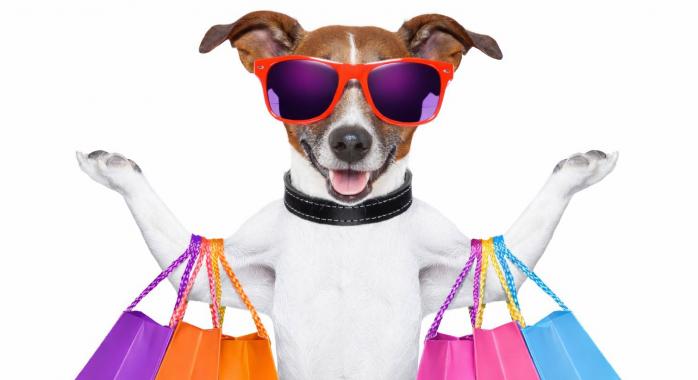 Kutyával a plázában – hol lehet, hol nem, és mit érdemes tudni