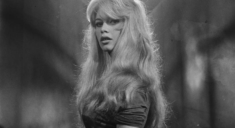 A szépségét és fiatalságát a férfiaknak adta, de a szeretetét az állatoknak