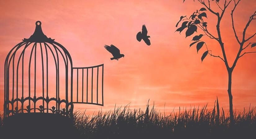 Kodiak Finance: egy innovációkra építő decentralizált tőzsde és ökoszisztéma