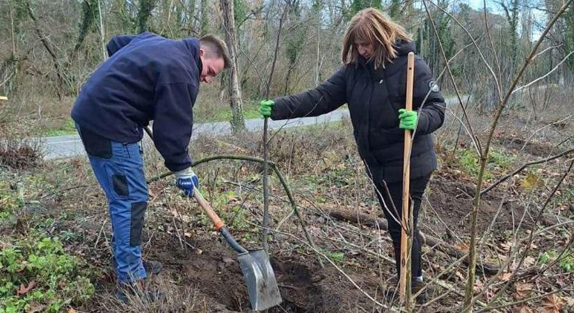Közösségi összefogással zöldül tovább az M1-es felhajtó
