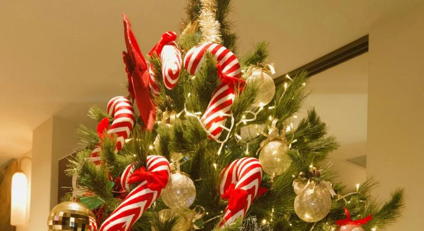 Széttépte a karácsonyfát, őrjöngött a népszerű színész - Videó