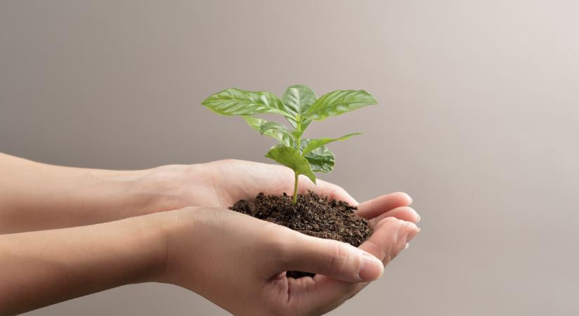 Közös projektre készül Magyarország Ausztriával: mutatjuk, miről van szó