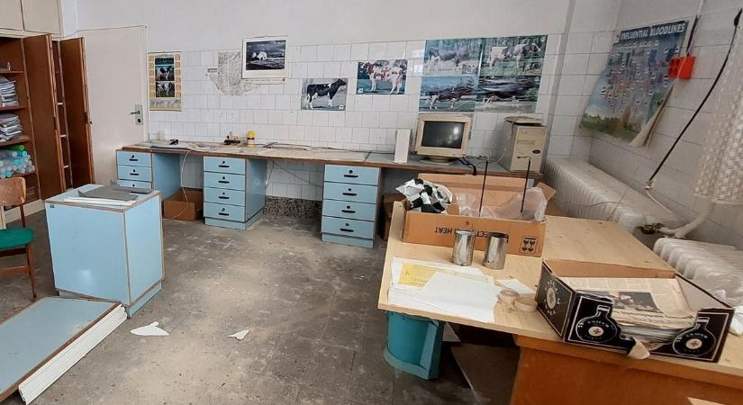 Dermesztő képek: rejtélyes körülmények között tűntek el a dolgozók a magyar mesterséges megtermékenyítő laborból