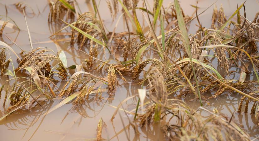 Beütött a vízválság: itt már egyre mélyebb kutakat kell fúrni