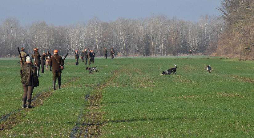 Összefogott a vadásztársadalom: nemes cél érdekében ropogtak a fegyverek Alattyán határában