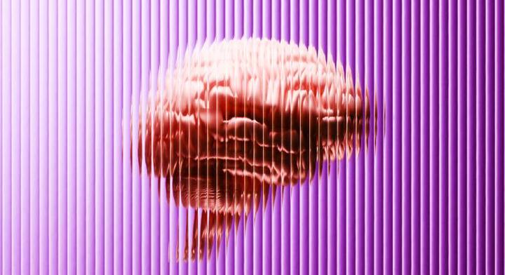 Melyik állat árnyéka hibás a képen? Csak a sasszeműek látják