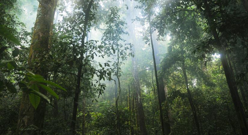 Egy friss jelentés Magyarországot is egy negatív lista élmezőnyében említi