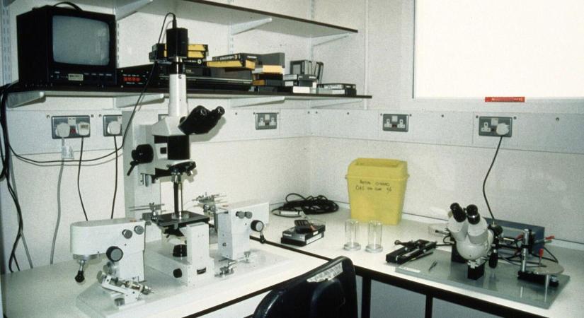 Elhagyatott laboratóriumba merészkedett be egy magyar urbexes, olyat látott, ami miatt sosem menne vissza, ettől teljesen ledermedsz, tiszta horror