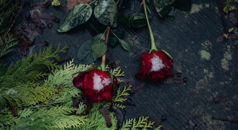 Rémálommá vált az ünnep: kerti tóban halt meg a kétéves kislány