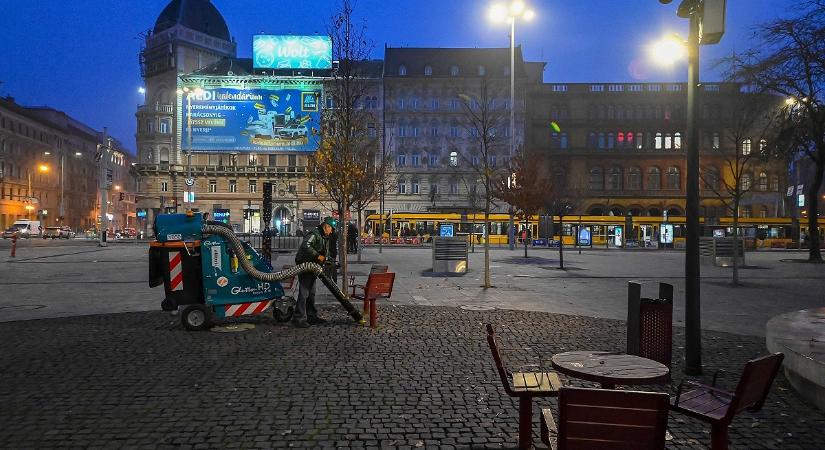 "Csak az a szép, zöld gyep..." - imádják az emberek a térgondnokokat