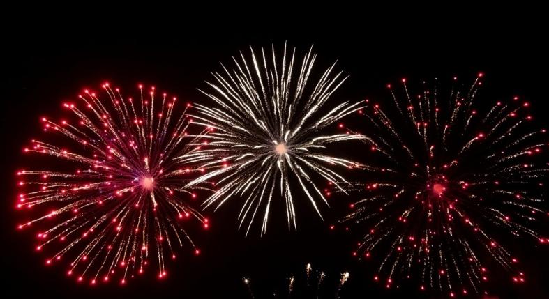 Fél a kutyád a tűzijátéktól? Így óvhatod meg a stressztől