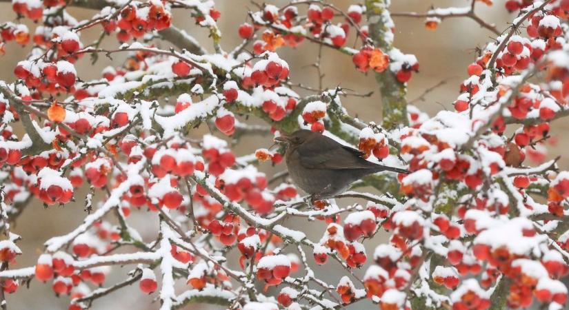 Igazi télies idővel búcsúzik 2025