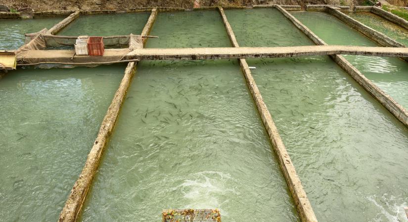 Döbbenetes, ami Magyarországon történt: 20 éve nem volt ilyen