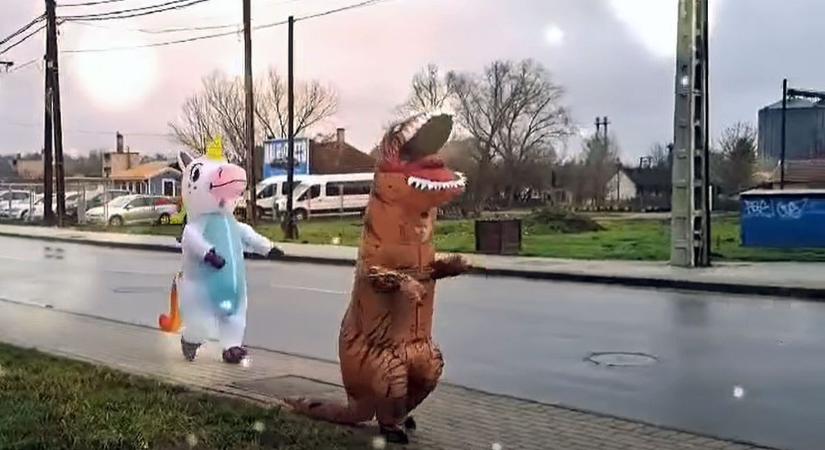 Különös lények szabadultak el Tamásiban (videó)