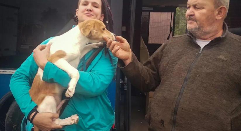 Papamaci Árvái – Menhely vigyáz a hevesi gazdátlan kutyusokra