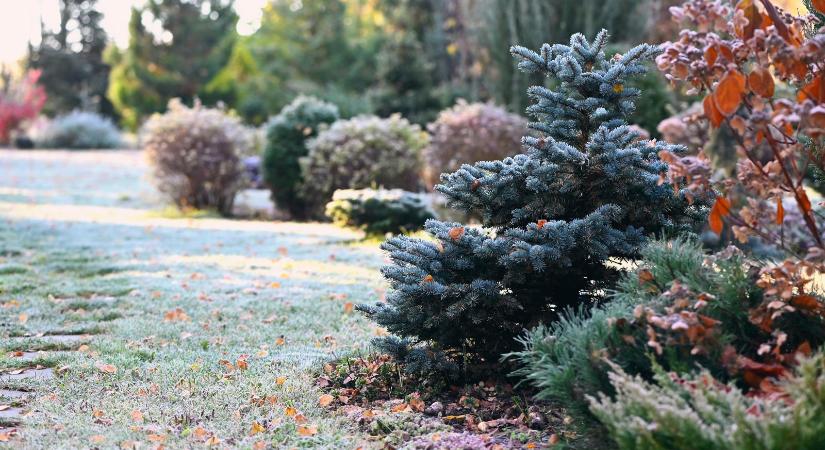 Aludni készül a kert