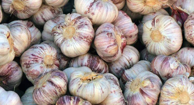 Felvették a kesztyűt a kínai fokhagymával szemben