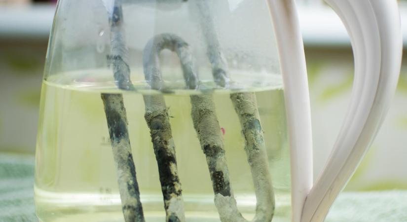 Fehér foltok a poharakon, gyorsan vízkövesedő vízforraló? Lehet, hogy kemény a vized – mutatjuk, mit tehetsz!