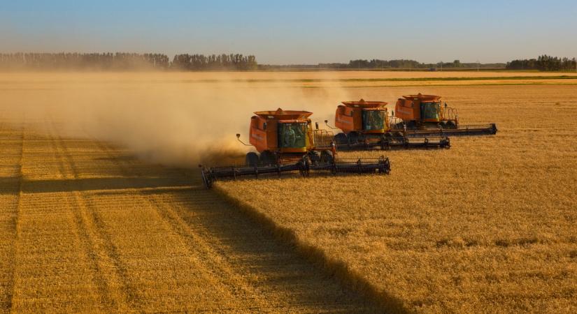 Kína keményen rákapcsol: új korszak kezdődik a gabonatermelésben