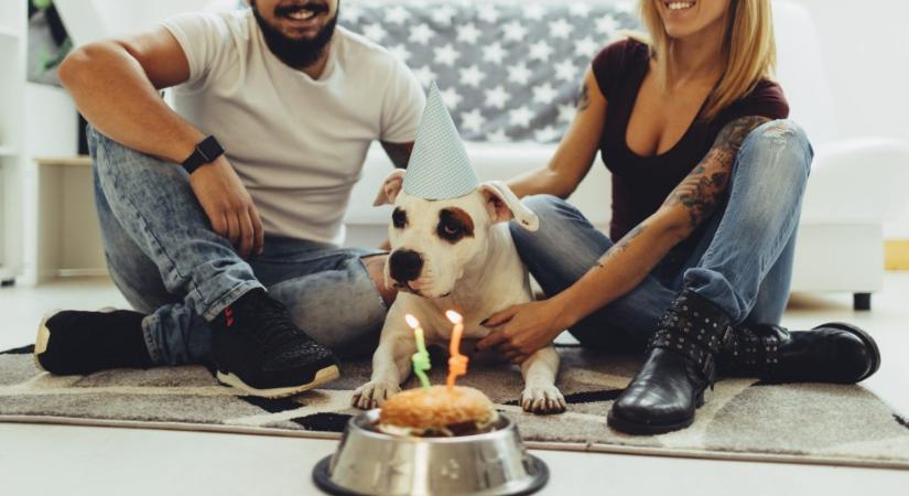 Nem igaz, hogy egy kutyaév hét emberinek felel meg