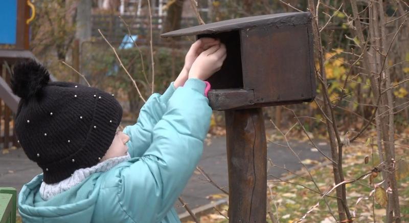 Napraforgó, alma, víz: így segítsük télen a madarakat