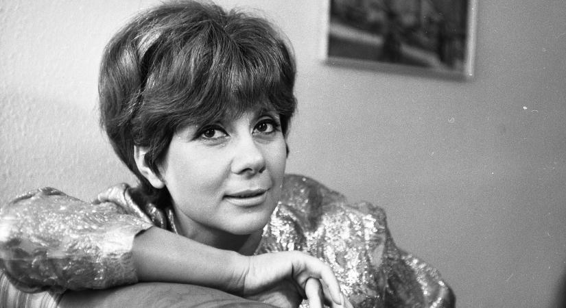 Csillogás kódolva: 10 sztár, aki szilveszter napján született