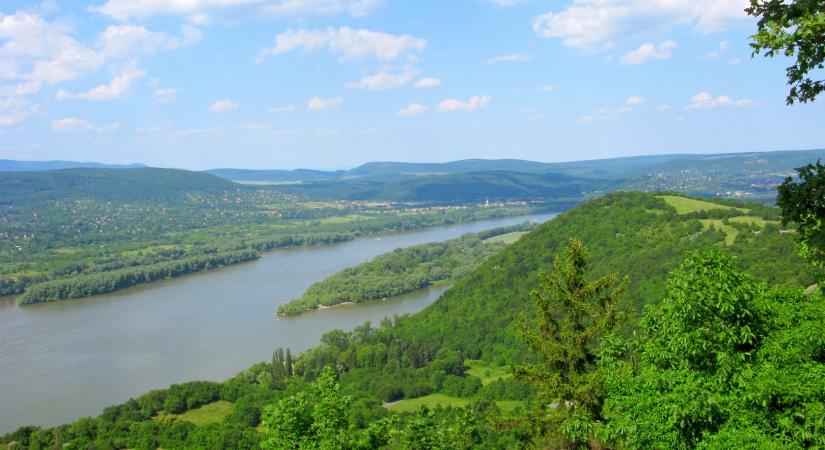 Megérkezett a horrorsáska Magyarországra: ekkora még nem telepedett meg nálunk