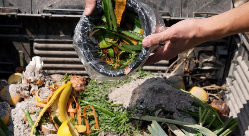 Komposzt kezelése – nem áll le a folyamat, csak lassul