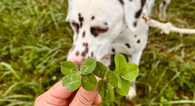 Mit teszel az év utolsó és első napján? A következő hónapokra is hatással lehet