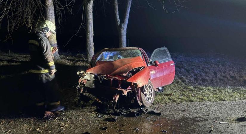 Nem maradt semmi az autó elejéből: fának csapódott egy gépkocsi Nagybajomnál