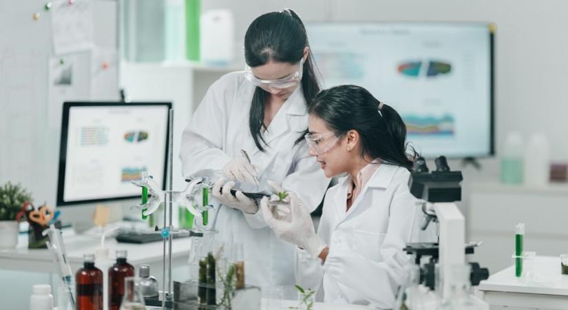 A ráksejtek titkos túlélési trükkje