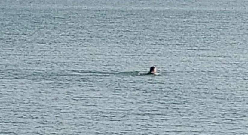 Mintha csak nyár lenne: a Balatonban karácsonyozott a férfi, fél Zamárdi róla beszél